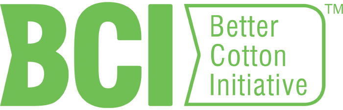 BCI logo 700