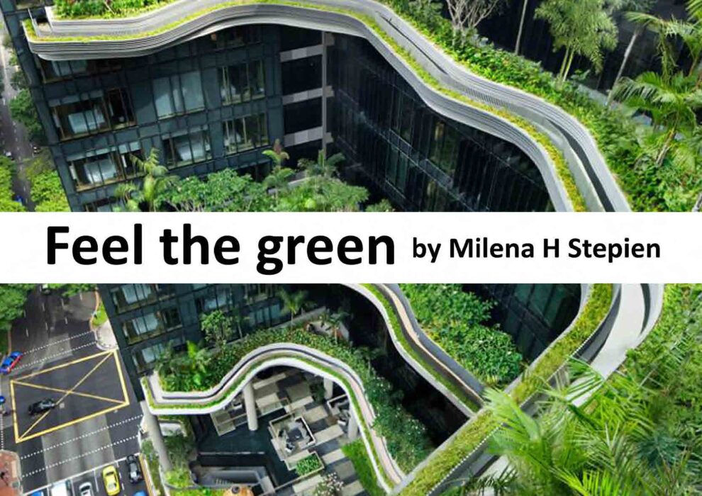 Milena Stepein Feel the Green Competition 2022 Pagina 01