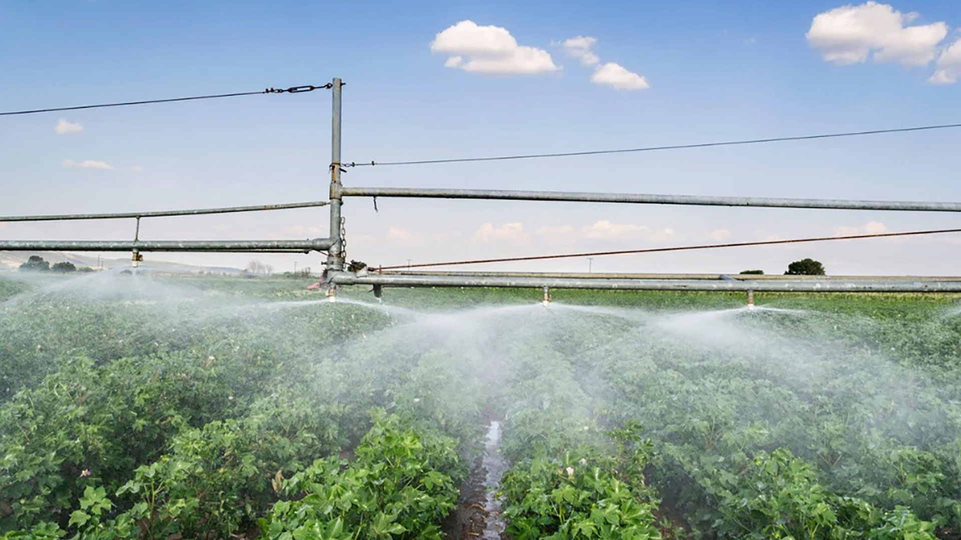 4sustainability Irrigazione lino